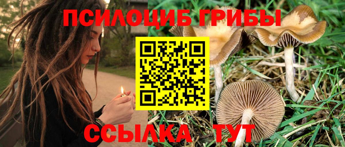 Галлюциногенные грибы ЛСД Вязьма