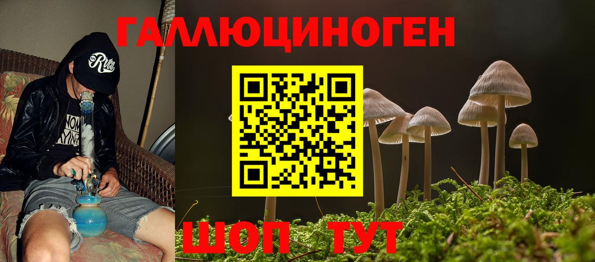 Вязьма  Галлюциногенные грибы Psilocybe  Вход с VPN 